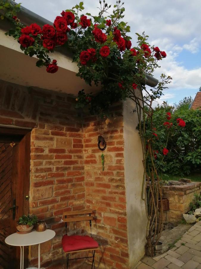 Pogány 米维斯凡德吉哈思旅馆酒店 外观 照片