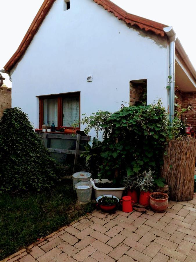 Pogány 米维斯凡德吉哈思旅馆酒店 外观 照片