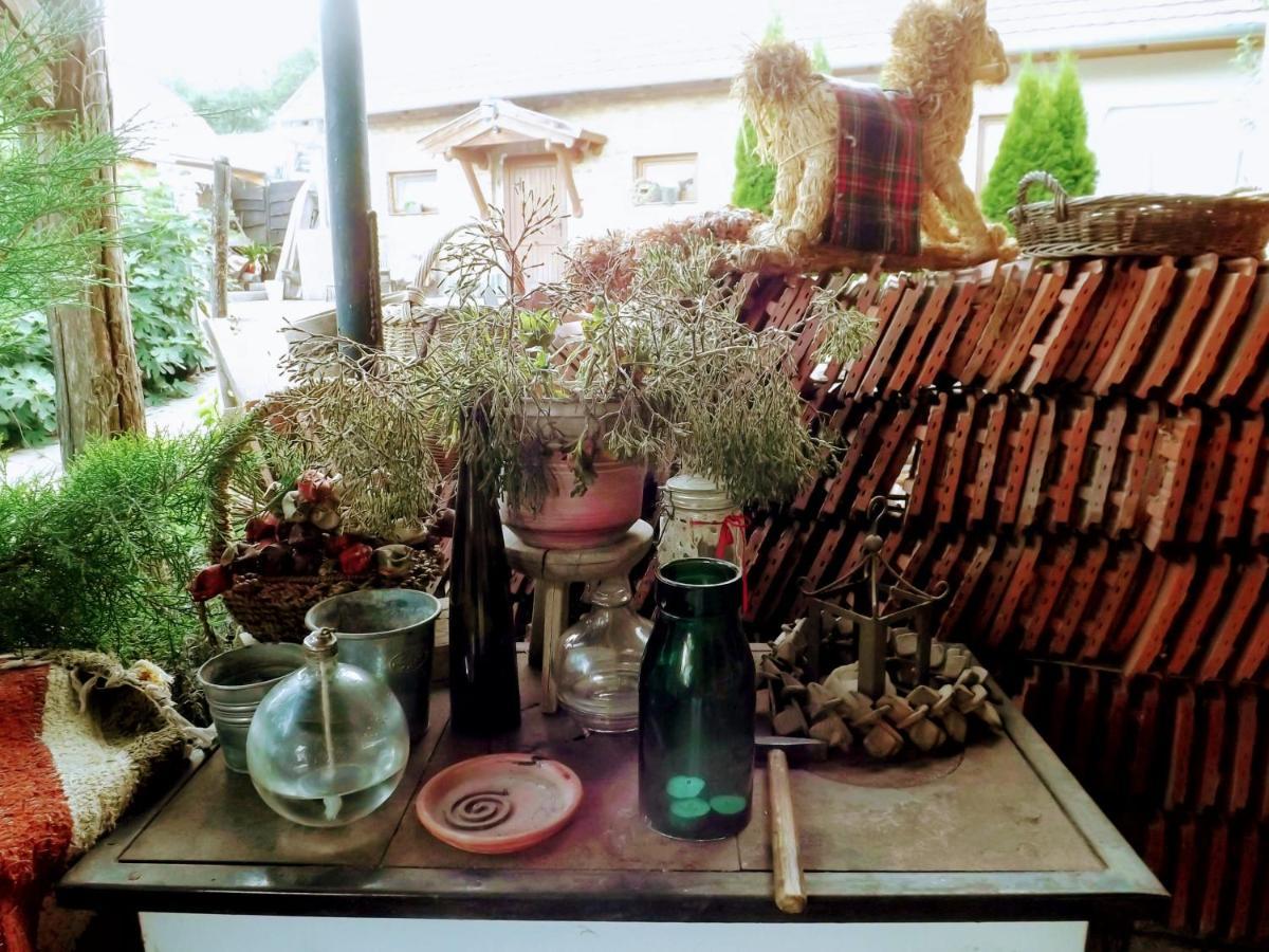 Pogány 米维斯凡德吉哈思旅馆酒店 外观 照片